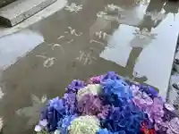 普門寺(切り絵御朱印発祥の寺)のその他建物