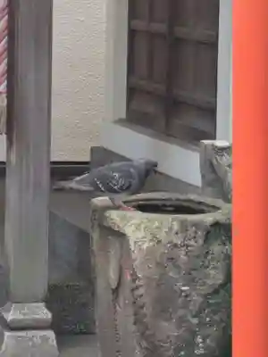 榊神社(東京都)