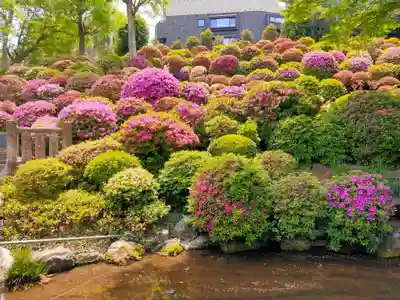 根津神社(東京都)