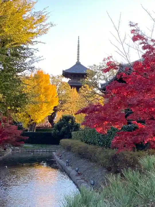 東寺(教王護国寺)(京都府)