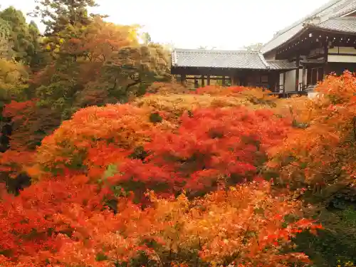東福禅寺（東福寺）(京都府)