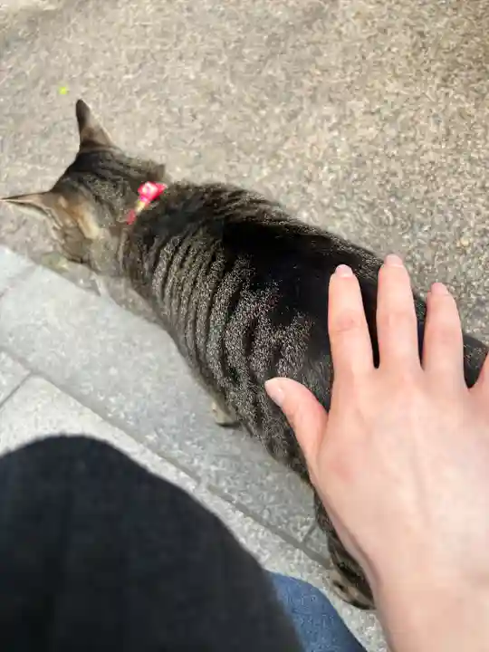 華下天滿神社の動物