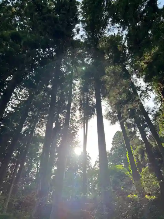 大宮温泉神社(栃木県)
