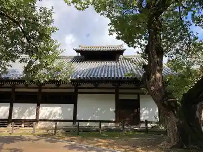 東大寺(奈良県)