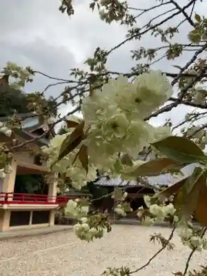 上地八幡宮(愛知県)