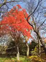 厚別神社(北海道)