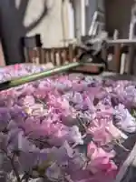 高円寺氷川神社(東京都)