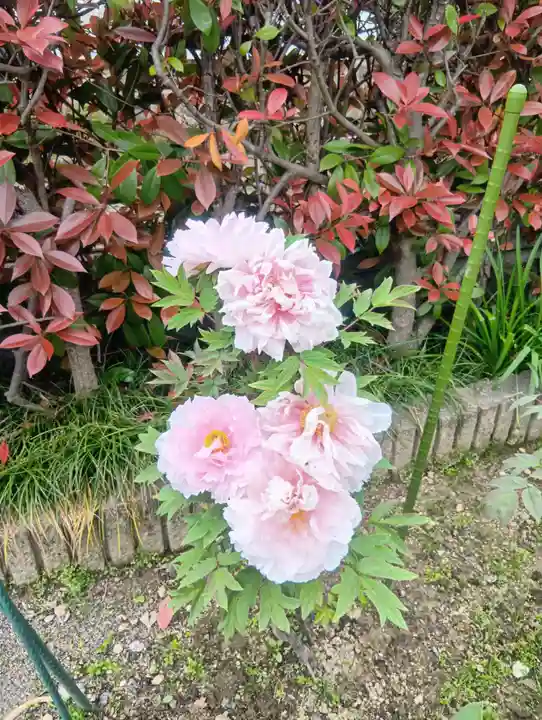 本覚寺(岐阜県)