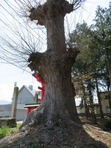 両之木八幡宮の建物その他