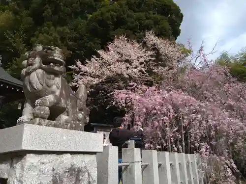 小川諏訪神社の狛犬