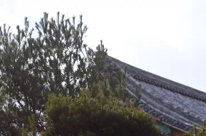 清凉寺(京都府)