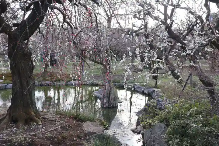 北野天満宮(京都府)