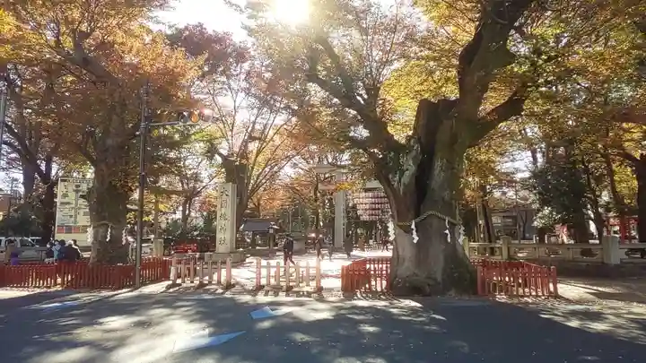 大國魂神社(東京都)