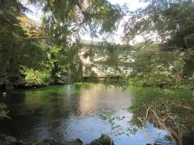 富士山本宮浅間大社(静岡県)
