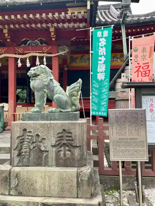 浅草神社の狛犬