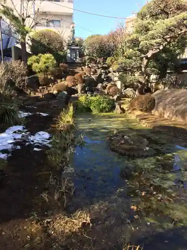 感通寺の庭園