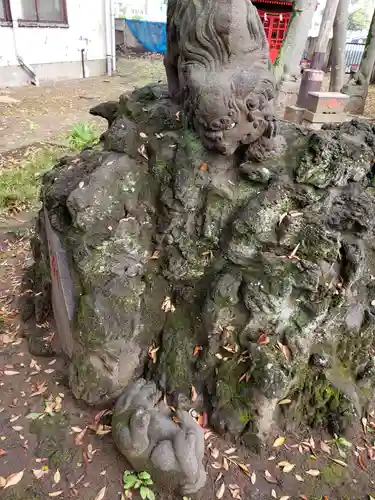 今井神社の狛犬