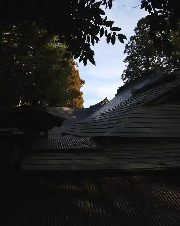 渋川八幡宮(群馬県)