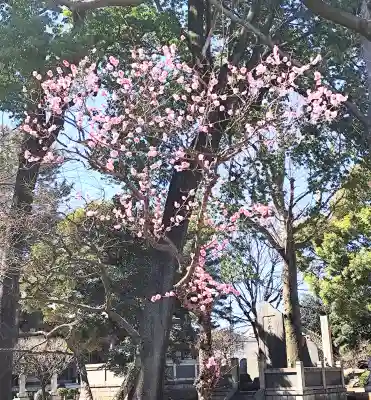 長命寺の{uncategorized: "未分類", other: "その他", undefined: "問題あり", building: "その他建物", grave: "お墓", sacred_gate: "鳥居", guardian: "狛犬", statue: "像", buddha: "仏像", history: "歴史", nature: "自然", garden: "庭園", animal: "動物", pagoda: "塔", temizu: "手水舎", mountain_gate: "山門・神門", sanctuary: "本殿・本堂", subordinate: "末社・摂社", art: "芸術", scenery: "景色", jizo: "地蔵", ema: "絵馬", goshuin: "御朱印", omikuji: "おみくじ", items: "授与品その他", amulet: "お守り", goshuincho: "御朱印帳", eats: "食事", festival: "お祭り", votive_dance: "神楽", shichigosan: "七五三参", wedding: "結婚式", experience: "体験その他", initially: "初詣", around: "周辺", anti_infection: "感染症対策"}