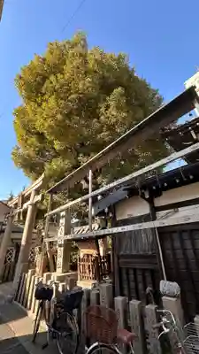 比賣許曾神社(大阪府)