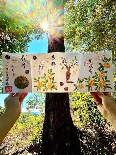 埼玉厄除け開運大師・龍泉寺（切り絵御朱印発祥の寺）の御朱印