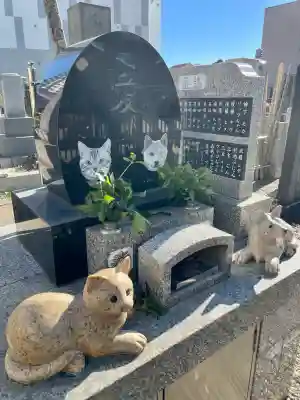 本教寺の{uncategorized: "未分類", other: "その他", undefined: "問題あり", building: "その他建物", grave: "お墓", sacred_gate: "鳥居", guardian: "狛犬", statue: "像", buddha: "仏像", history: "歴史", nature: "自然", garden: "庭園", animal: "動物", pagoda: "塔", temizu: "手水舎", mountain_gate: "山門・神門", sanctuary: "本殿・本堂", subordinate: "末社・摂社", art: "芸術", scenery: "景色", jizo: "地蔵", ema: "絵馬", goshuin: "御朱印", omikuji: "おみくじ", items: "授与品その他", amulet: "お守り", goshuincho: "御朱印帳", eats: "食事", festival: "お祭り", votive_dance: "神楽", shichigosan: "七五三参", wedding: "結婚式", experience: "体験その他", initially: "初詣", around: "周辺", anti_infection: "感染症対策"}