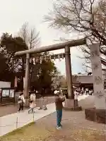 浅草神社の鳥居