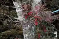 鹿島大神宮の自然