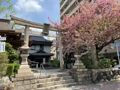 白龍神社の鳥居