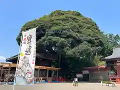 大前神社(栃木県)