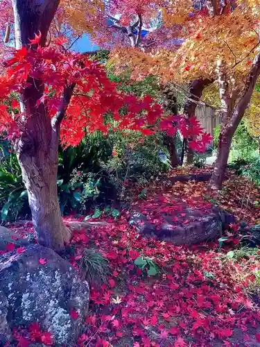 本土寺(千葉県)