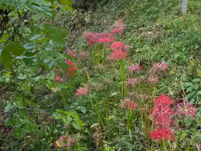 阿久津「田村神社」（郡山市阿久津町）旧社名：伊豆箱根三嶋三社(福島県)