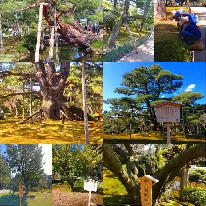 寿量山 速成寺(奈良県)
