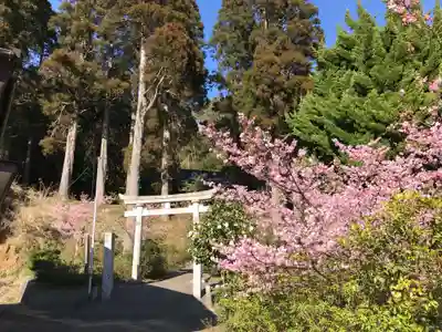 山神社のその他建物