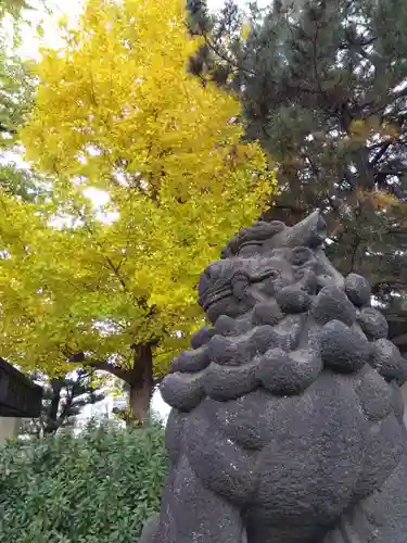 福井神社(福井県)