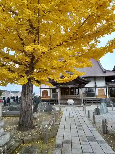 長泉寺の本殿・本堂