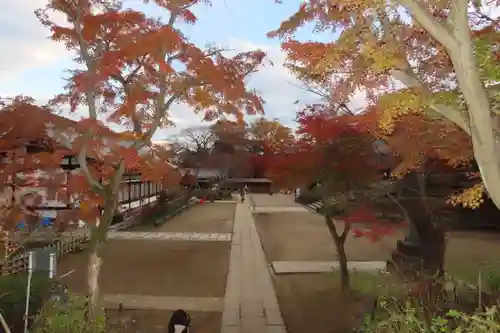 本土寺のその他建物