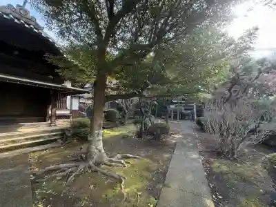 感応院の{uncategorized: "未分類", other: "その他", undefined: "問題あり", building: "その他建物", grave: "お墓", sacred_gate: "鳥居", guardian: "狛犬", statue: "像", buddha: "仏像", history: "歴史", nature: "自然", garden: "庭園", animal: "動物", pagoda: "塔", temizu: "手水舎", mountain_gate: "山門・神門", sanctuary: "本殿・本堂", subordinate: "末社・摂社", art: "芸術", scenery: "景色", jizo: "地蔵", ema: "絵馬", goshuin: "御朱印", omikuji: "おみくじ", items: "授与品その他", amulet: "お守り", goshuincho: "御朱印帳", eats: "食事", festival: "お祭り", votive_dance: "神楽", shichigosan: "七五三参", wedding: "結婚式", experience: "体験その他", initially: "初詣", around: "周辺", anti_infection: "感染症対策"}
