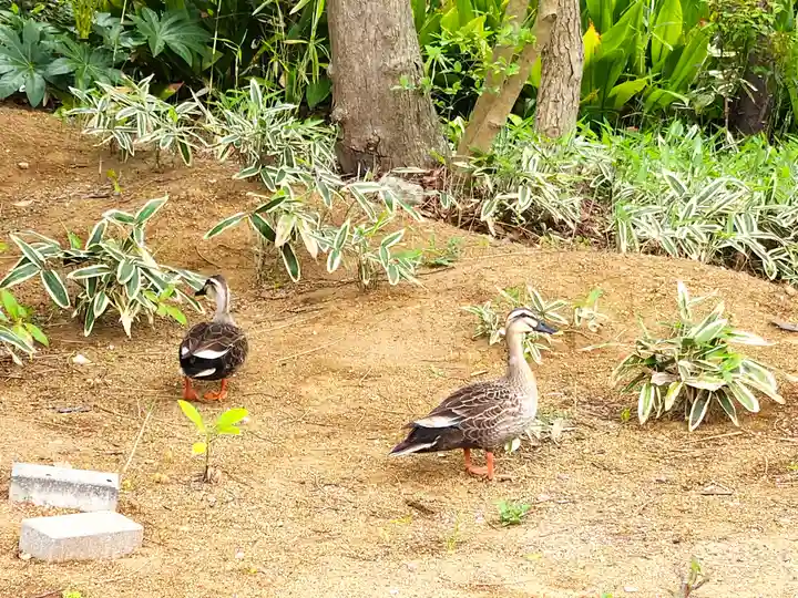 大雲寺(東京都)