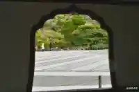 慈照寺(慈照禅寺・銀閣寺)の{uncategorized: "未分類", other: "その他", undefined: "問題あり", building: "その他建物", grave: "お墓", sacred_gate: "鳥居", guardian: "狛犬", statue: "像", buddha: "仏像", history: "歴史", nature: "自然", garden: "庭園", animal: "動物", pagoda: "塔", temizu: "手水舎", mountain_gate: "山門・神門", sanctuary: "本殿・本堂", subordinate: "末社・摂社", art: "芸術", scenery: "景色", jizo: "地蔵", ema: "絵馬", goshuin: "御朱印", omikuji: "おみくじ", items: "授与品その他", amulet: "お守り", goshuincho: "御朱印帳", eats: "食事", festival: "お祭り", votive_dance: "神楽", shichigosan: "七五三参", wedding: "結婚式", experience: "体験その他", initially: "初詣", around: "周辺", anti_infection: "感染症対策"}