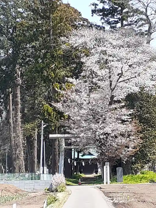 酒門神社の鳥居