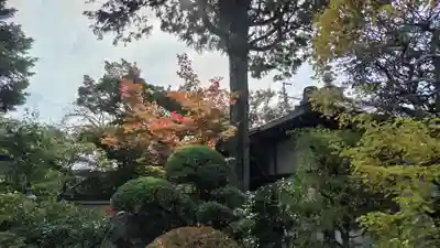 霊源院(京都府)