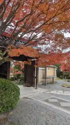 神光院の山門・神門