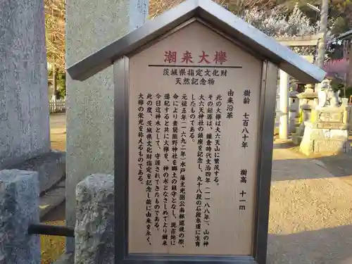 素鵞熊野神社の歴史