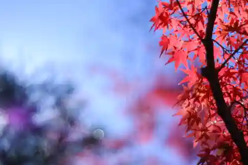 禅林寺（永観堂）(京都府)