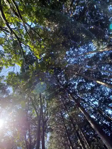 高尾山薬王院の自然