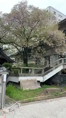 西楽寺の{uncategorized: "未分類", other: "その他", undefined: "問題あり", building: "その他建物", grave: "お墓", sacred_gate: "鳥居", guardian: "狛犬", statue: "像", buddha: "仏像", history: "歴史", nature: "自然", garden: "庭園", animal: "動物", pagoda: "塔", temizu: "手水舎", mountain_gate: "山門・神門", sanctuary: "本殿・本堂", subordinate: "末社・摂社", art: "芸術", scenery: "景色", jizo: "地蔵", ema: "絵馬", goshuin: "御朱印", omikuji: "おみくじ", items: "授与品その他", amulet: "お守り", goshuincho: "御朱印帳", eats: "食事", festival: "お祭り", votive_dance: "神楽", shichigosan: "七五三参", wedding: "結婚式", experience: "体験その他", initially: "初詣", around: "周辺", anti_infection: "感染症対策"}