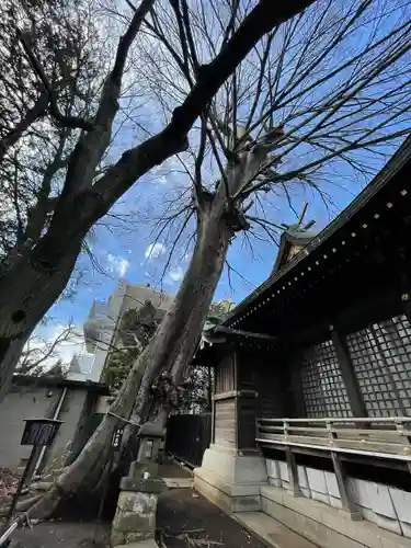 稲荷神社(東京都)