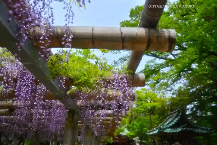越ヶ谷久伊豆神社(埼玉県)