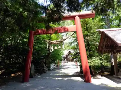 比布神社の鳥居